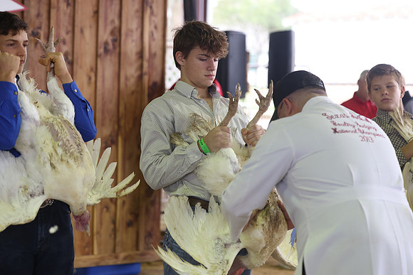ACF 2026 Turkey-907