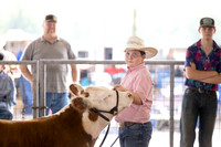 Aledo-012