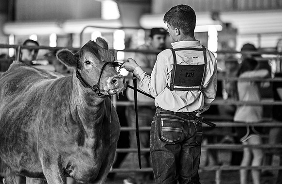EB photorgraphy-36