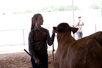 Aledo-017
