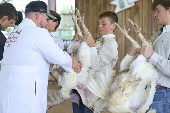 ACF 2026 Turkey-858