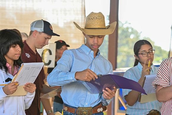 done-6