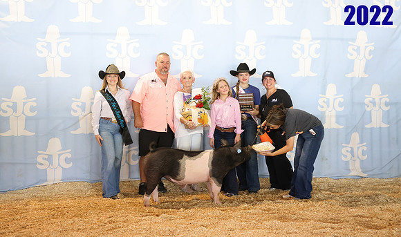 lot 154
