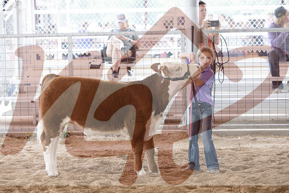 Aledo-044