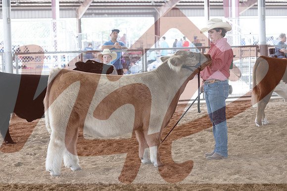 Aledo-053