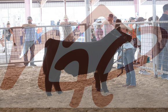 Aledo-124