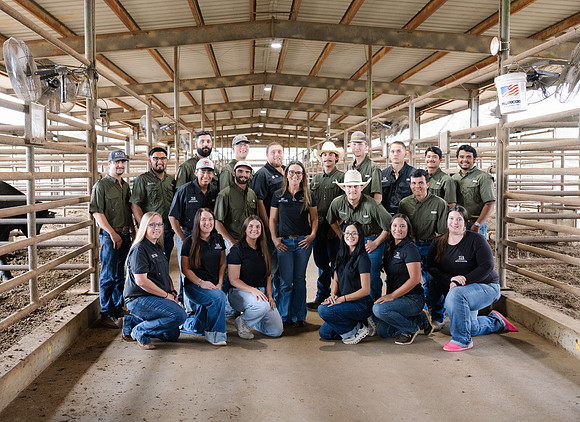 IBS-305