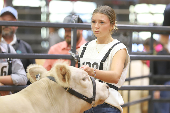 East Texas State Fair - Steer Show-054