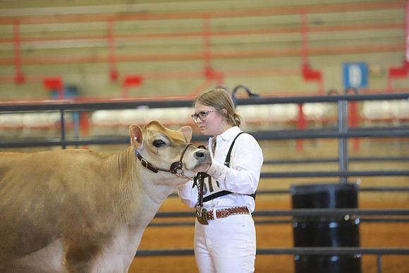 East Texas State Fair - Dairy Show-034