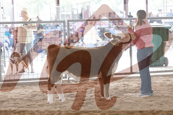 Aledo-024