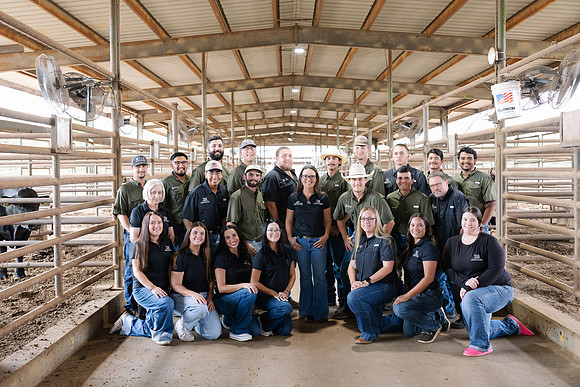 IBS-308