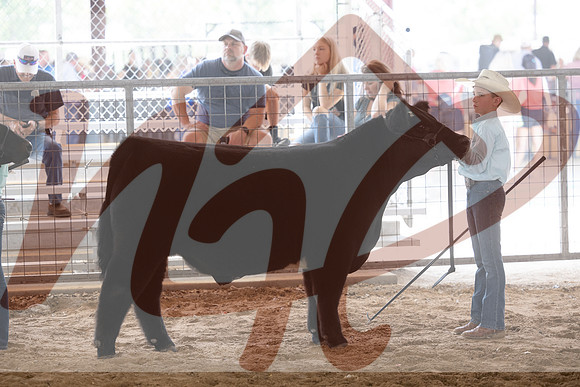 Aledo-031