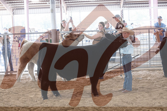 Aledo-065