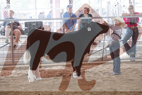 Aledo-028
