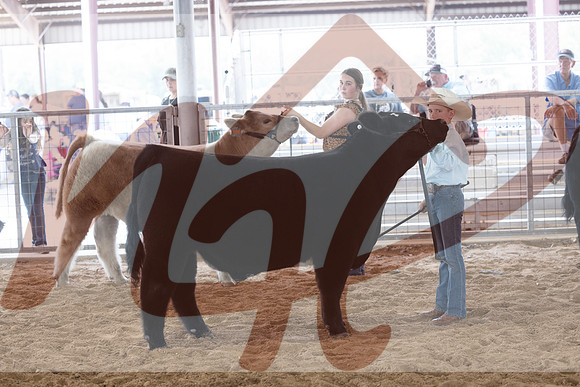 Aledo-064