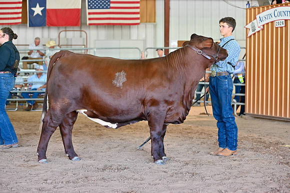 EB photorgraphy-31