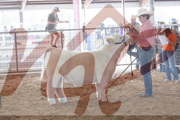 Aledo-144
