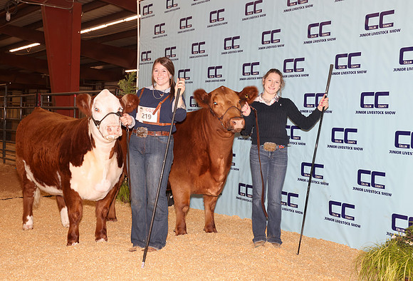 Cattle Backdrop 13