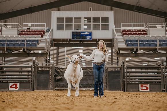 state Show-6