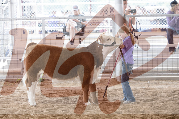 Aledo-043