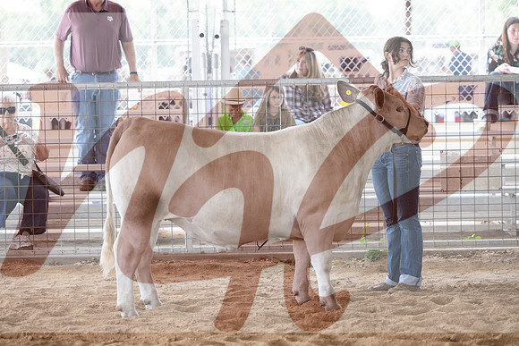 Aledo-097