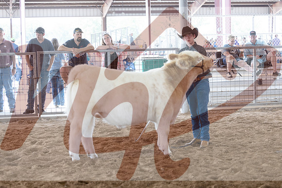Aledo-111