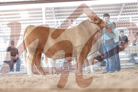 Aledo-060