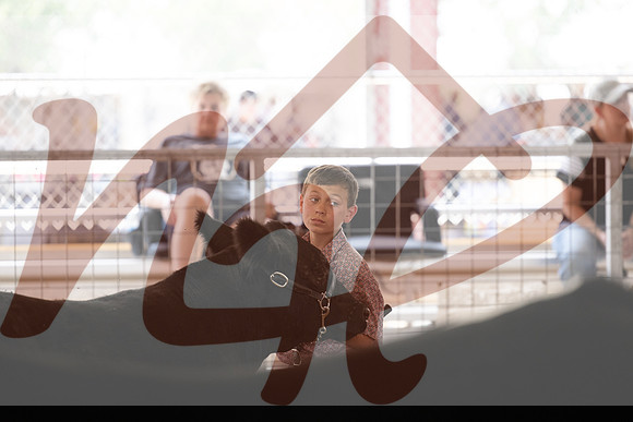 Aledo-013