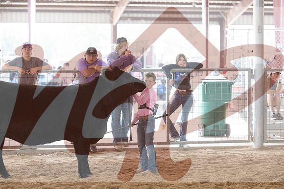 Aledo-035