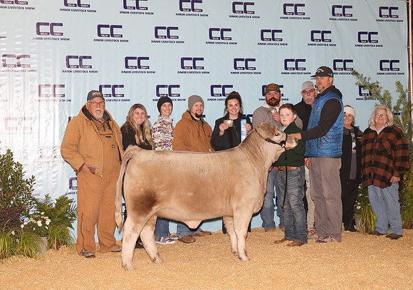 Cattle Backdrop 9