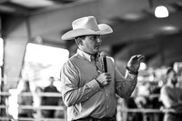 ACF 2026- SCRAMBLE HEIFERS