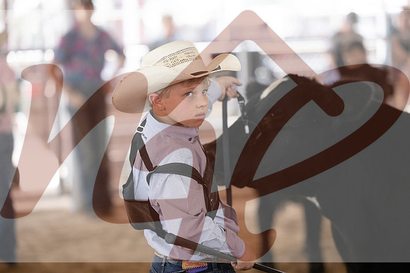 Aledo-007