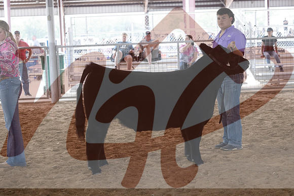 Aledo-088