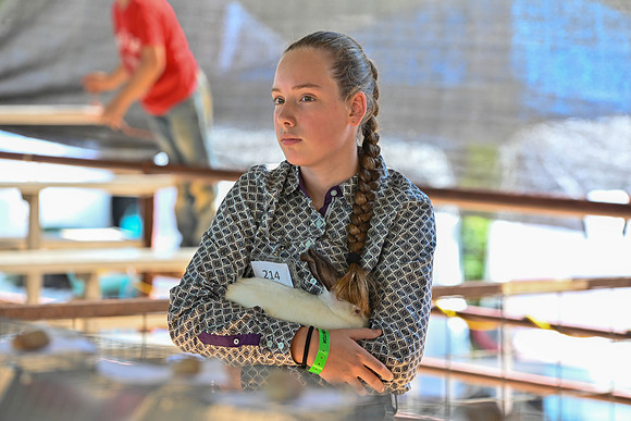 done-128