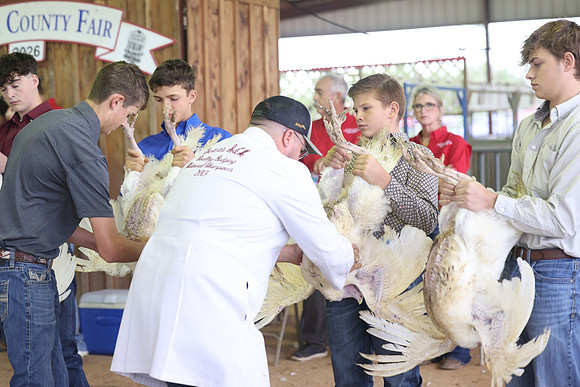 ACF 2026 Turkey-963