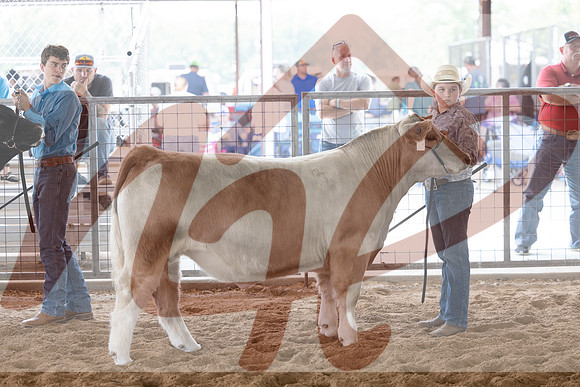 Aledo-099