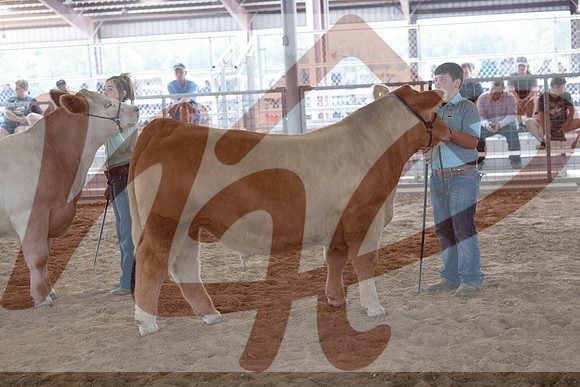 Aledo-071