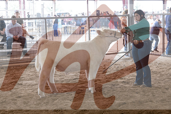 Aledo-068
