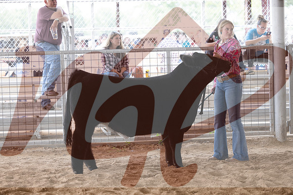 Aledo-090