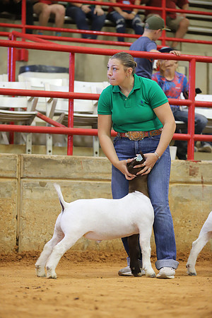 East Texas State Fair - Goat Show-037