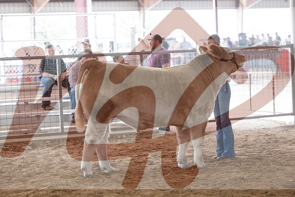 Aledo-074