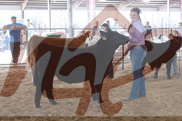 Aledo-048