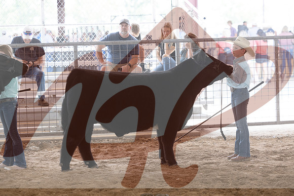 Aledo-032