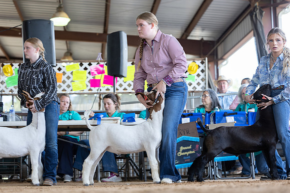KHACF2026-5026
