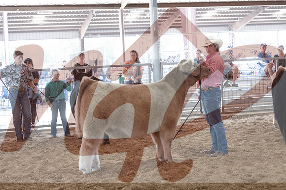 Aledo-058