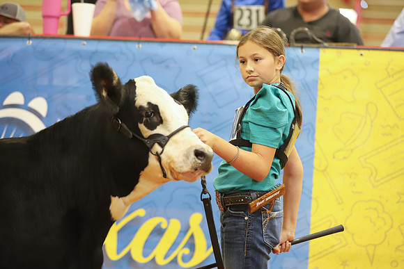 East Texas State Fair - Steer Show-011