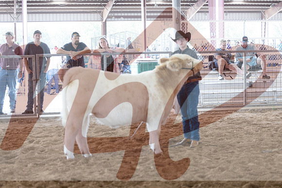 Aledo-112