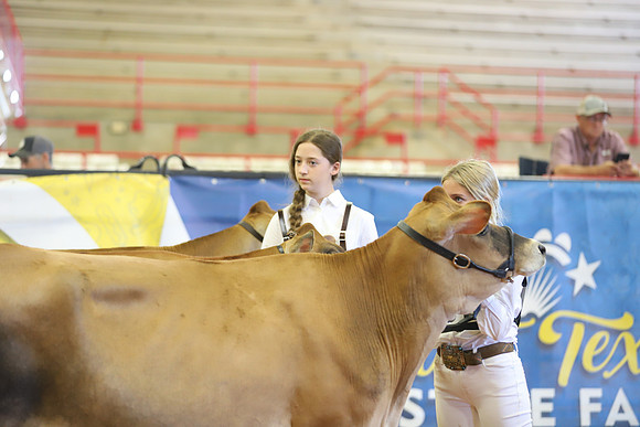 East Texas State Fair - Dairy Show-142