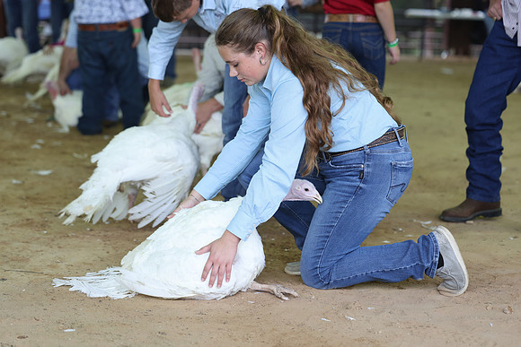 ACF 2026 Turkey-897