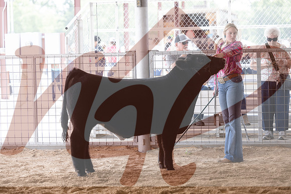 Aledo-094